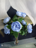 Цветы букет из 6 пионов голубого цвета #8, Светлана Б.