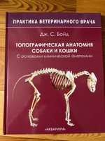 Топографическая анатомия собаки и кошки. С основами клинической анатомии #1, Арина Н.