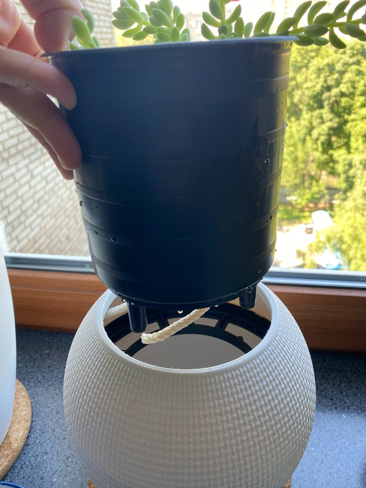 LECHUZA PURO 20 Кашпо с автополивом / горшок для цветов / кашпо для ...