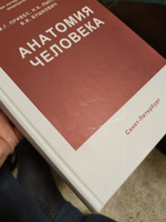 Анатомия человека. Привес М.Г. | Привес Михаил Григорьевич, Лысенков Николай Константинович #5, Erki T.