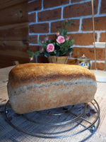 Закваска для хлеба Пшеничная Вечная Poly Food, 150 г #5, Лариса Г.