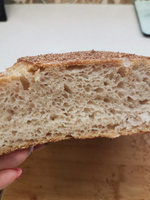 Закваска для хлеба, пшеничная, 100 г #4, Дарья Б.