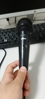 Микрофон RITMIX RDM-120 Black #6, Данир К.