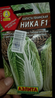 Капуста Пекинская Ника 75 дней, хранение до 3 месяцев #57, Лариса Г.