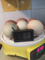 Инкубатор для 7 куриных яиц автоматический HHD 7 #7, Нилуфар Х.