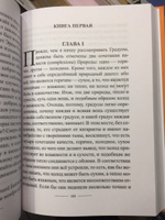 Собрание сочинений Парацельса - том 4 #1, Эльза К.
