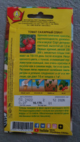 Томат Сахарный спрут Гриль крупноплодный 300г урожайный детерминатный #22, Светлана С.