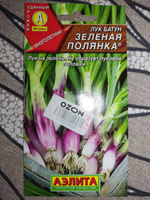 Лук батун Зеленая полянка на зелень многолетний #32, ОКСАНА