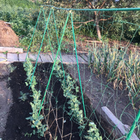 Сетка для огурцов шпалерная, для гороха, опора для поддержки и выращивания вьющихся садовых растений (размер 2 х 5 м) #1, Зульфия М.