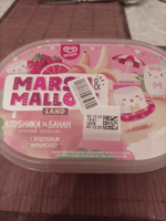 Мороженое Инмарко MARSH&MALLOW LAND Клубника-Банан с маршмеллоу, ванночка, 454 г #8, Ольга С.