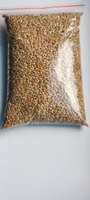 Пшеница семенная 1 шт. 800г #8, Виталий С.