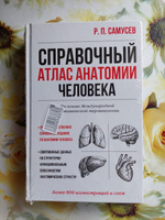 Справочный атлас анатомии человека | Самусев Рудольф Павлович #1, Татьяна М.