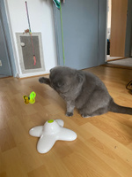 Интерактивная игрушка для кошек и собак "Летающая бабочка". Вращающаяся кошачья игра дразнилка #3, Ксения З.