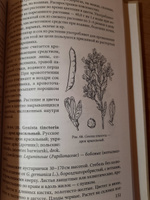 Лекарственные растения и способы их применения в народе (1960) #6, Елена Ч.