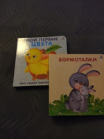 Комплект Книжки-картонки Мои первые цвета + Книжка для запуска речи #4, Вера Б.