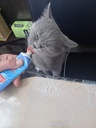 Паста для вывода шерсти Cliny 75 мл - купить с доставкой по выгодным ...