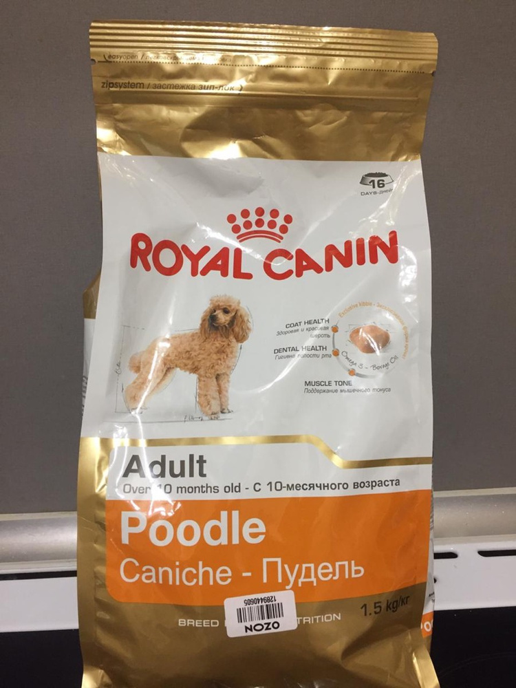 Корм для щенков пуделя. Корм для щенков пуделя. Роял канин для собак пудель. Щенок кушает. Корм для собак роял канин poodle.