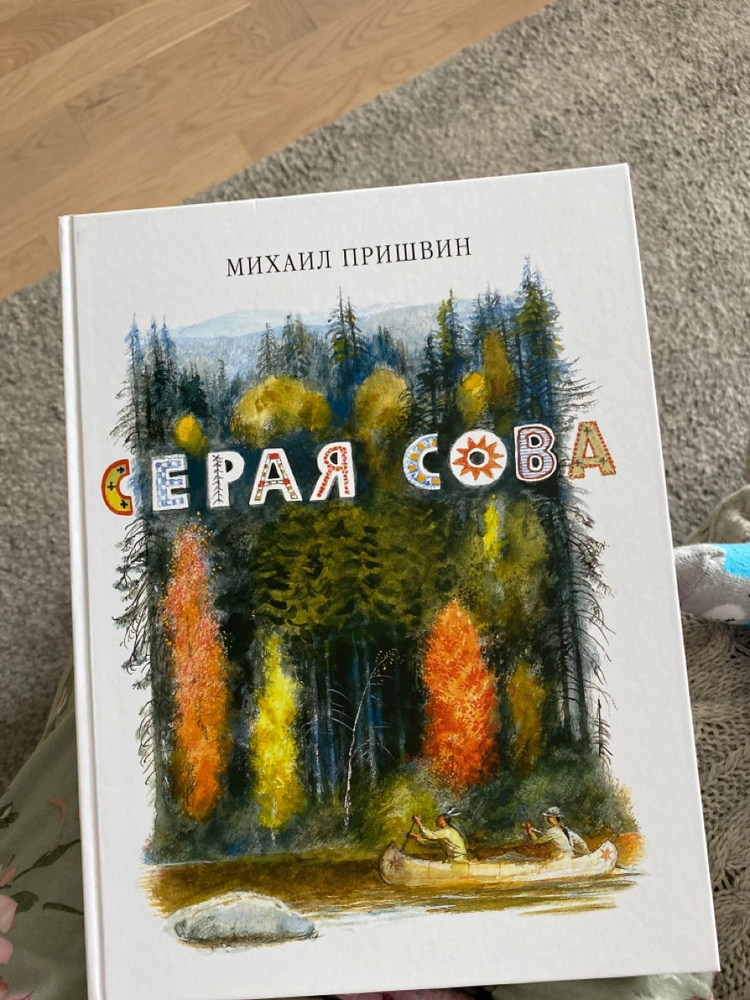 Пришвин сова. Пришвин серая Сова книга. Рассказ Пришвина про сову.