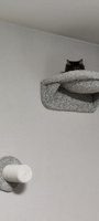 Гамак для кошек настенный КОТ-Е "Каури" 40х55 см, ковролин, серый #5, Додунова Екатерина