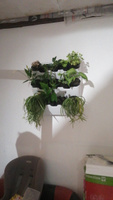 Фитомодуль "BOXSAND 24" (60х127 см) вместимость 24 растения, цвет белый для вертикального озеленения #8, Павел В.