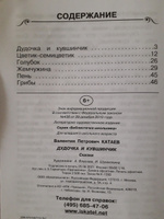 Дудочка и кувшинчик | Катаев Валентин Петрович #4, Светлана Б.