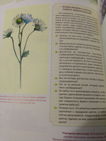 Ботаническая иллюстрация | Холендер Венди #5, Екатерина О.