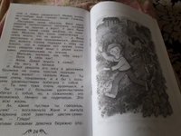 Дудочка и кувшинчик | Катаев Валентин Петрович #3, Светлана Б.