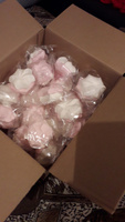 Зефир бело-розовый с ароматом ванили и малины в индвид. упаковке, 2 кг (форма цветок) #8, Надежда М.