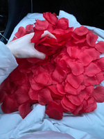 Искусственные лепестки роз 2600 шт. Темно-красные, свадебное цветочное украшение. Лепестки для свадебной вечеринки, романтической ночи, декорации для торжеств. LuxDekor. #39, Юлия М.