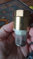 Обратный клапан с сеткой 3/4" CTM, CBCVF034 #8, Ренат Ш.