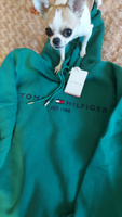 Худи Tommy Hilfiger #48, Татьяна П.