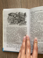 Алиса в Зазеркалье | Кэрролл Льюис #21, Сюзанна И.