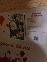 Картина по номерам на холсте с подрамником "Цветы", 40х60 см #2, Дарья М.