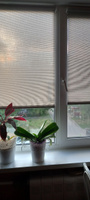 Рулонные шторы LmDecor 64х160 см, жалюзи на окна 64 ширина, рольшторы #81, Римма С.