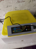 Инкубатор HHD 54 автоматический для яиц с роликовым лотком #8, Елена Ч.