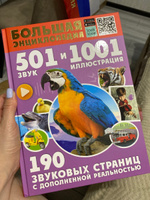 Большая энциклопедия. 501 звук и 1001 иллюстрация | Куцаева Наталия Георгиевна, Попова Ирина Мечеславовна #1, Екатерина К.