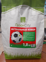 Газонная трава ГазонCity "Эконом", Футбольный ковер, 1,8 кг #24, Ерофеева Т.