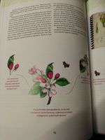 Ботаническая иллюстрация | Холендер Венди #7, Екатерина О.