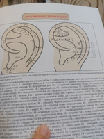 Атлас акупунктурных точек и меридианов. Выпуск 8. - купить с доставкой ...