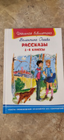 Внеклассное чтение. В. Осеева. Рассказы 1-4 класс. Книга для детей, развитие, мальчиков и девочек | Осеева Валентина Александровна #4, Березкина Олеся