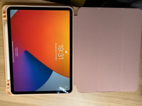 Чехол книжка для iPad Pro 11 (2022, 2021, 2020г), Dux Ducis Osom series розовый #32, Анастасия А.