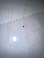 Обложки для переплёта Office Kit прозрачные пластиковые формат А4 толщина 0.15 мм, в уп. 100 шт. #6, Анастасия П.