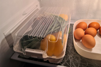 Контейнер для холодильника/ органайзер для продуктов, хранения овощей и фруктов, корзина для холодильника, белый 32,3x18,3x10,3 см (цвет: белый) #8, Антон Н.