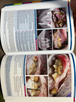 Атлас стоматологических патологий мелких домашних и экзотических животных #4, Татьяна Б.