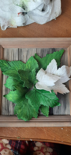 Паста / масса для моделирования и лепки JOVI, отвердевающая, белый ...