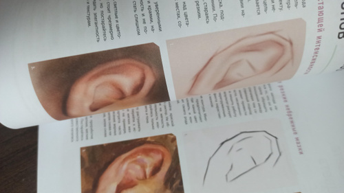 Портрет. Базовый курс по рисованию людей. Основы рисунка и поиски ...