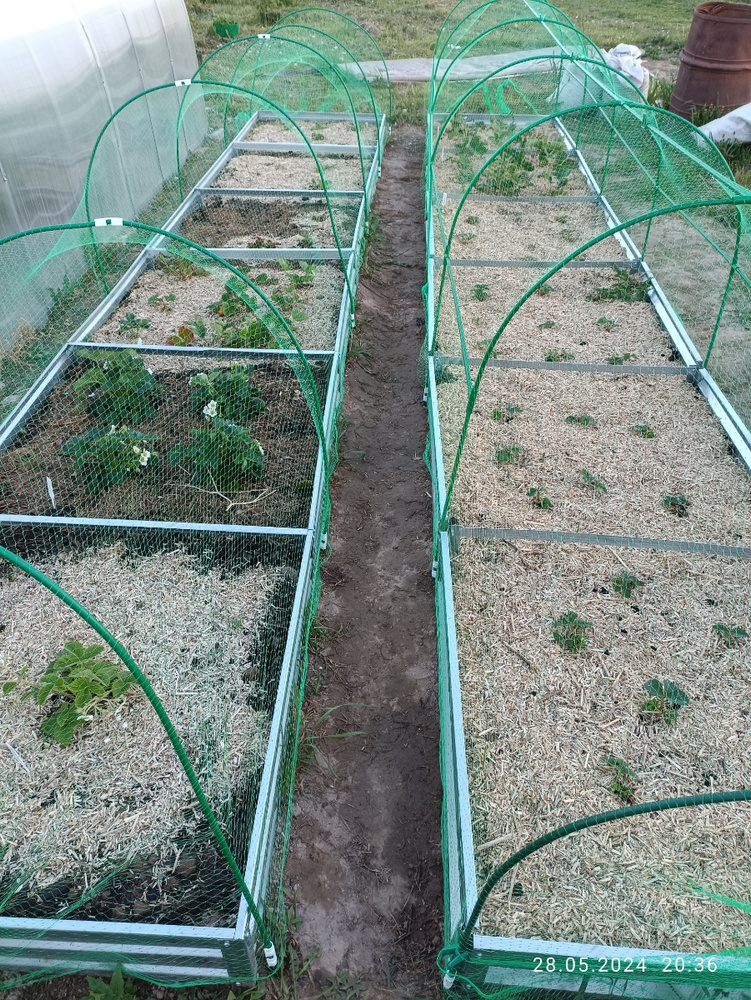 Сетка от птиц 15*15мм 3шт.-2х10м ЗЕЛЕНАЯ защитная, огородная, для ...