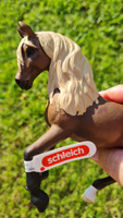 Schleich 13952 Пасо Перуанский жеребец #37, Светлана Ч.