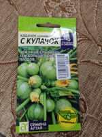 Кабачок С Кулачок (Семена Алтая), 1 г #12, Елена М.