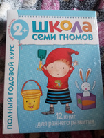 Школа Семи Гномов 2-3 года. Полный годовой курс развивающих книг для детей (12 книг с картонной вкладкой) | Денисова Дарья #3, Марина Е.